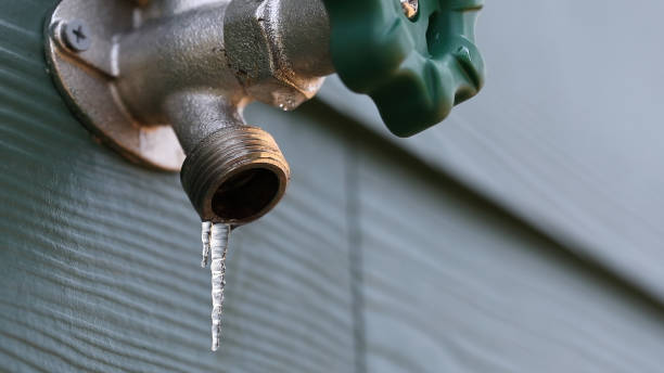 Best Affordable Plumbing Services  in Corydon, IA